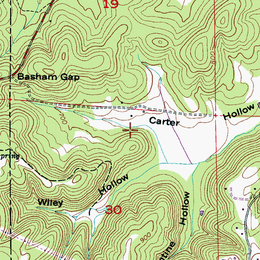 Topographic Map of Cove Spring, AL