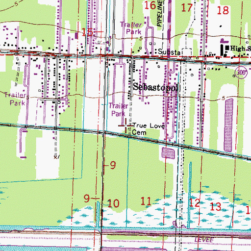Topographic Map of True Love Cemetery, LA