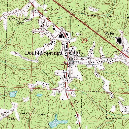 Topographic Map of Double Springs (historical), AL
