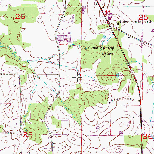 Topographic Map of Cave Spring School (historical), AL