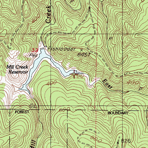 Topographic Map of East Fork Mill Creek, OR