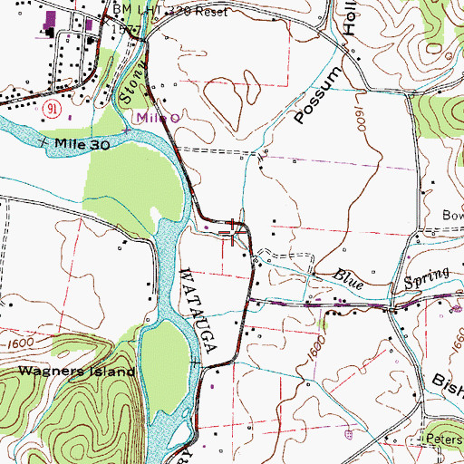 Topographic Map of Possum Hollow Branch, TN