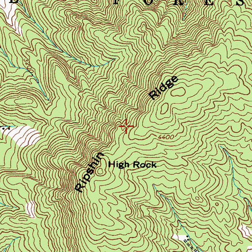Topographic Map of Ripshin Ridge, TN