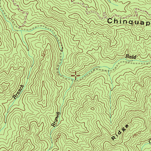 Topographic Map of Service Branch, TN