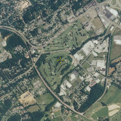 Aerial/Satellite Image of Pine Oaks Golf Course, TN