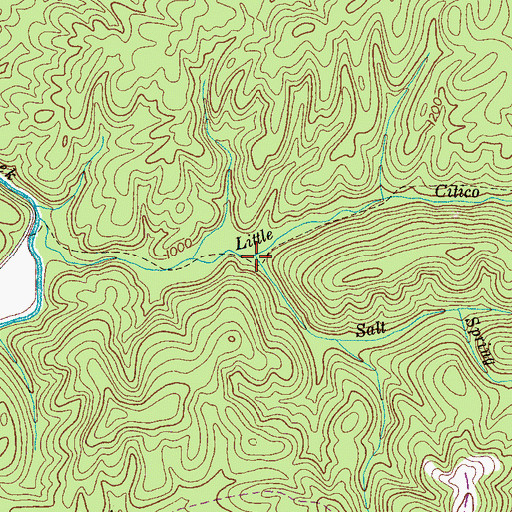 Topographic Map of Salt Spring Branch, TN
