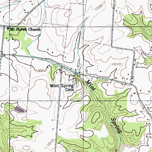 Topographic Map of Mint Spring, TN