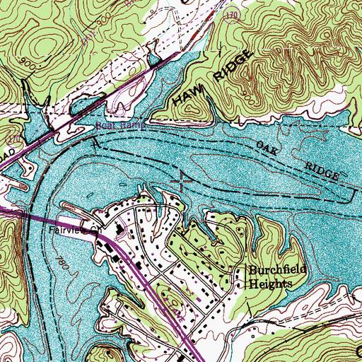 Topographic Map of Holts Island Shoals, TN