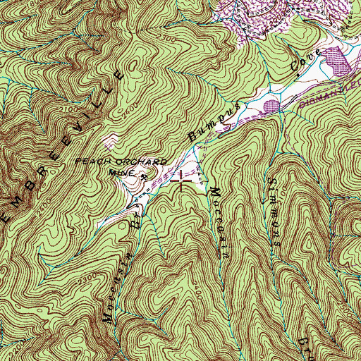 Topographic Map of Big Moccasin Mine, TN