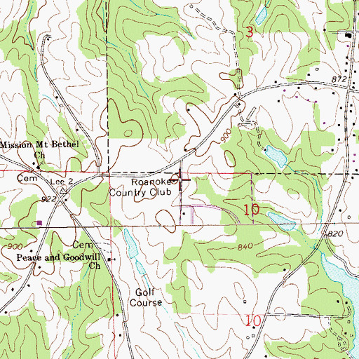 Topographic Map of Roanoke County Club, AL