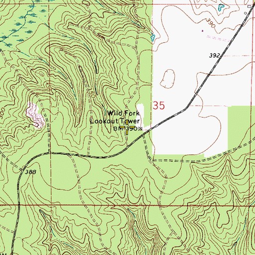 Topographic Map of Wild Fork Lookout Tower, AL