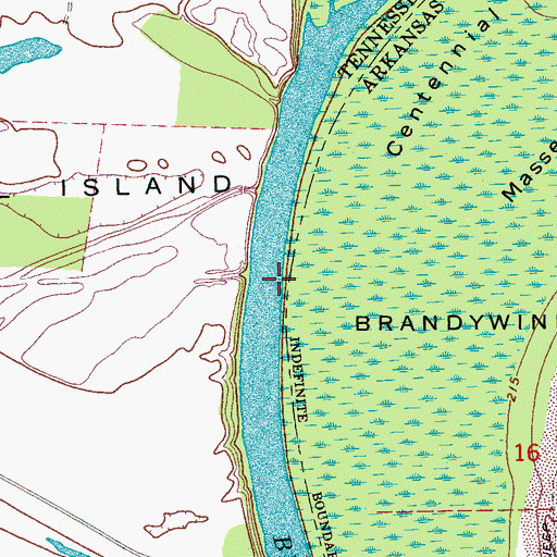 Topographic Map of Brandywine Point, TN
