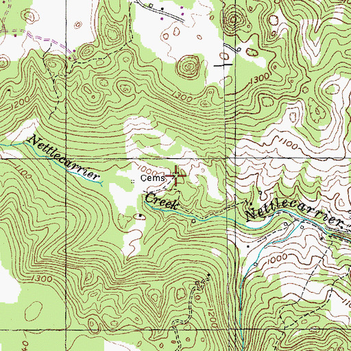 Topographic Map of Nettlecarrier Creek Cemetery, TN