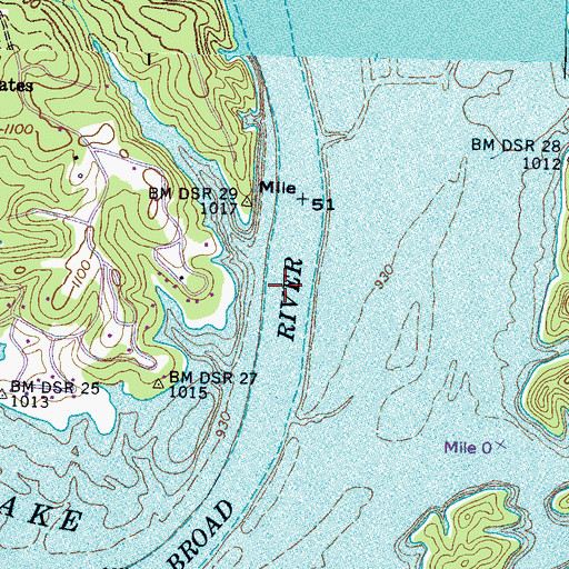 Topographic Map of Elliots Shoals, TN