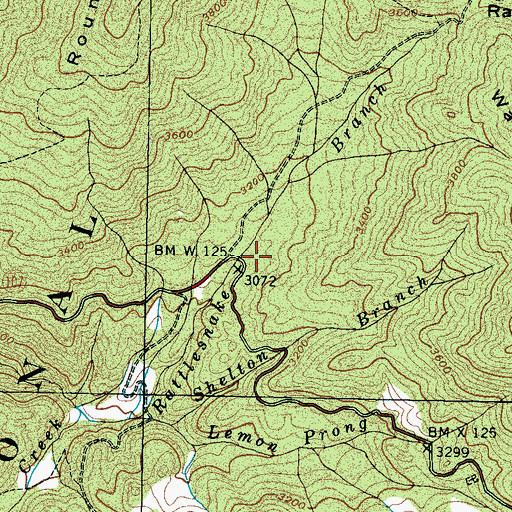 Topographic Map of Rattlesnake Branch Recreation Area, TN