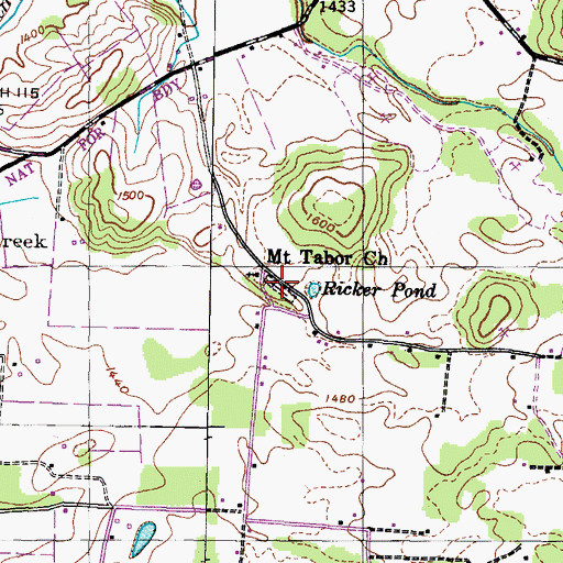 Topographic Map of Mount Tabor Cemetery, TN