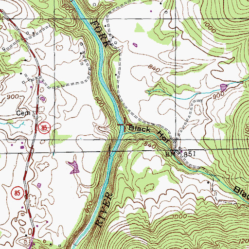 Topographic Map of Black Hollow Branch, TN