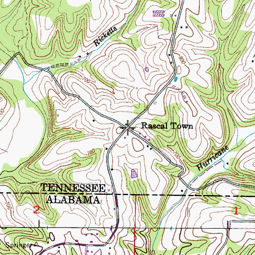 Topographic Map of Rascal Town, TN