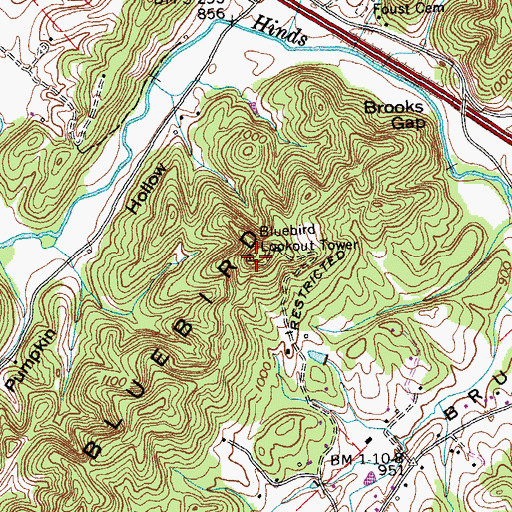 Topographic Map of Bluebird Lookout Tower, TN