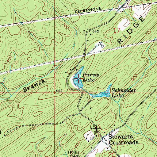 Topographic Map of Purvis Lake, AL
