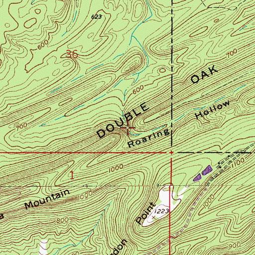 Topographic Map of Roaring Hollow, AL