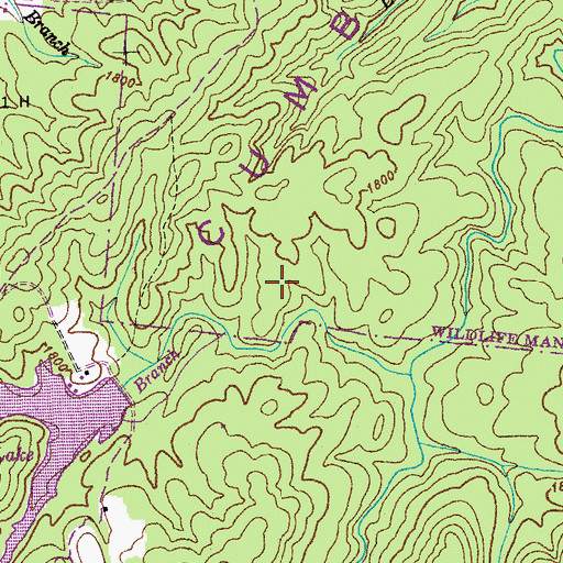 Topographic Map of Crossville North Division (historical), TN