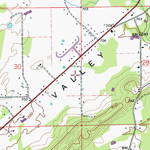 Topographic Map of Valleyhaven, AL