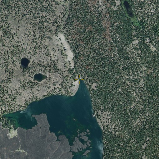 Aerial/Satellite Image of Butte Creek, CA