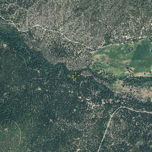 Aerial/Satellite Image of Love Branch, CA