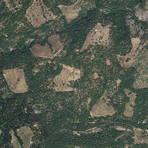 Aerial/Satellite Image of Schumake Meadow, CA