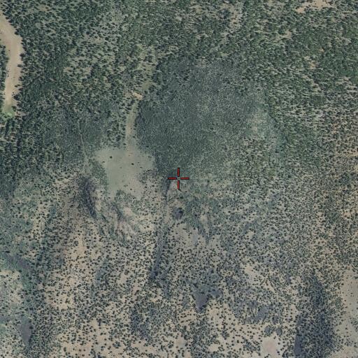 Aerial/Satellite Image of Bald Mountain, CA