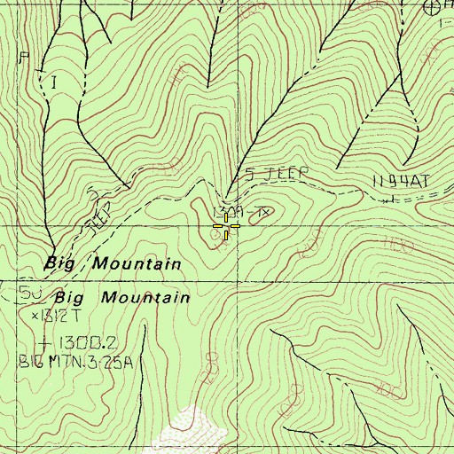 Topographic Map of Big Mountain, CA