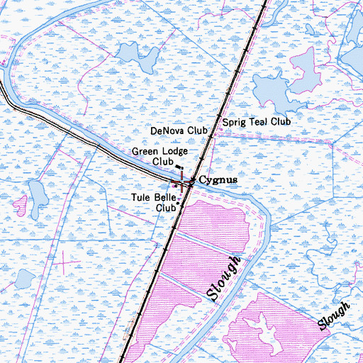 Topographic Map of Cygnus, CA