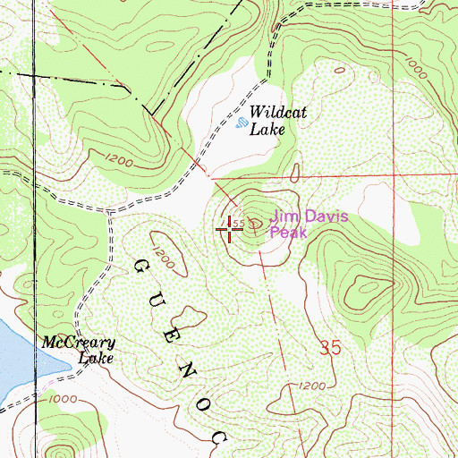 Topographic Map of Jim Davis Peak, CA