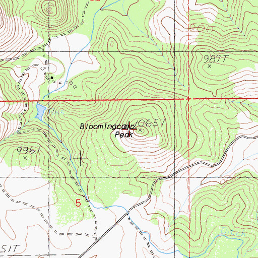 Topographic Map of Bloomingcamp Peak, CA