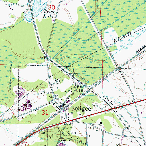 Topographic Map of Boligee Division, AL