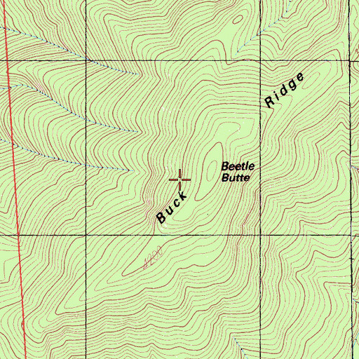 Topographic Map of Beetle Butte, CA