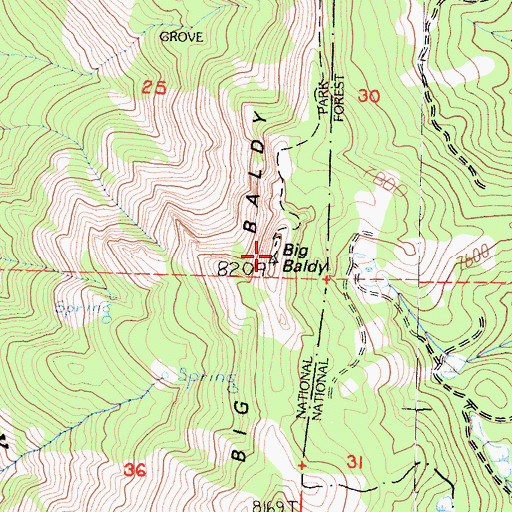 Topographic Map of Big Baldy, CA