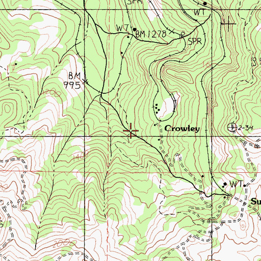 Topographic Map of Crowley, CA