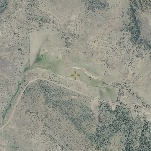 Aerial/Satellite Image of Dibble Place, CA