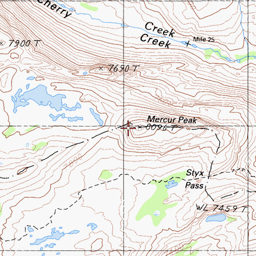 Topographic Map of Mercur Peak, CA