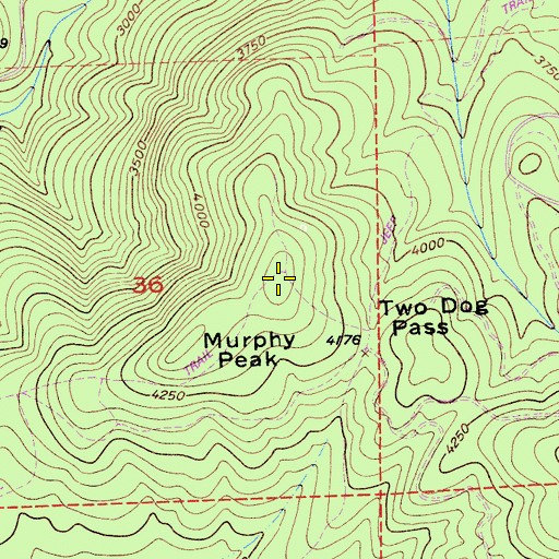 Topographic Map of Murphy Peak, CA