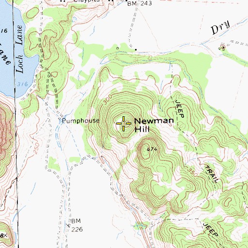 Topographic Map of Newman Hill, CA