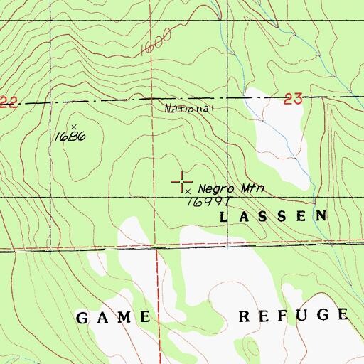 Topographic Map of Negro Mountain, CA
