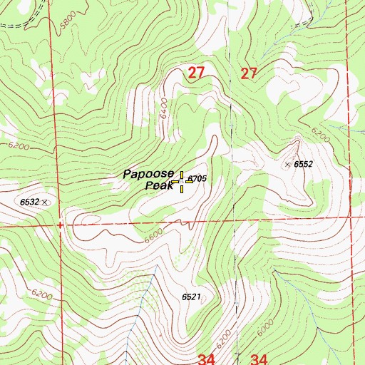 Topographic Map of Papoose Peak, CA