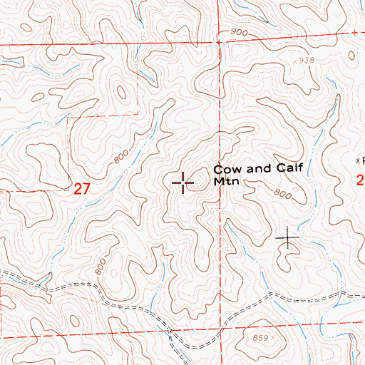 Topographic Map of Cow and Calf Mountain, CA