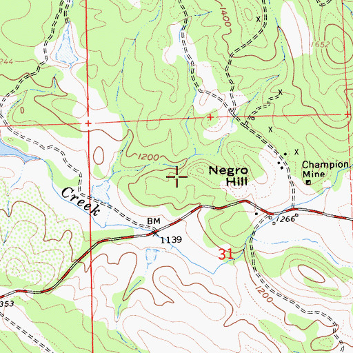 Topographic Map of Negro Hill, CA