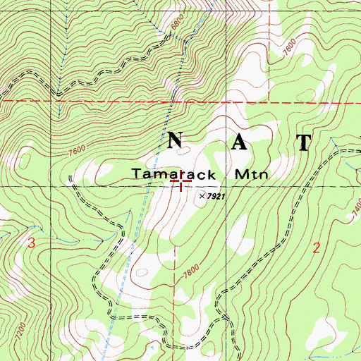 Topographic Map of Tamarack Mountain, CA