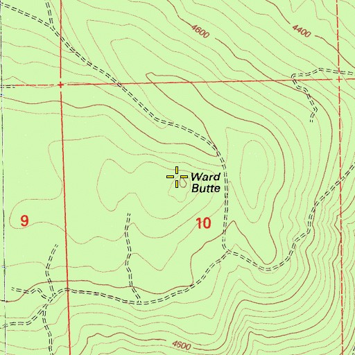Topographic Map of Ward Butte, CA
