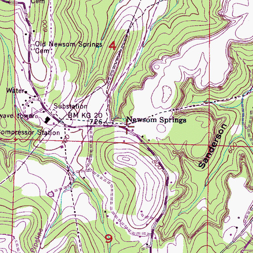 Topographic Map of Newsome Springs, AL